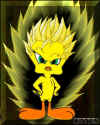 Avatar du membre