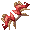 image arme