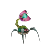 image du monstre