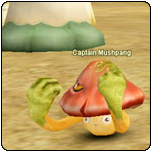 Mushpang